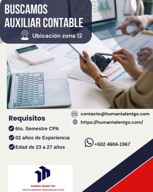 Auxiliar Contable